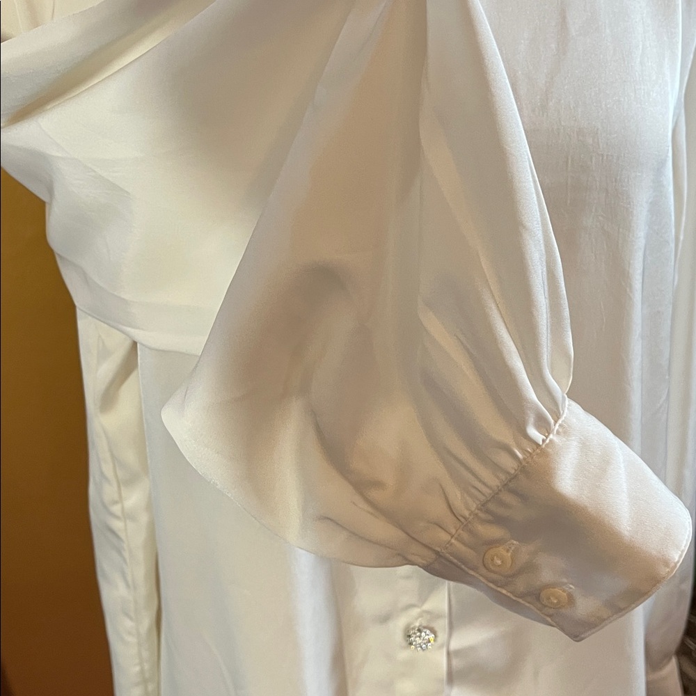 Express Cream Satin Look & Feel Button-Down Shirt w/Rhinestone buttons XL TL - Picture 10 of 13